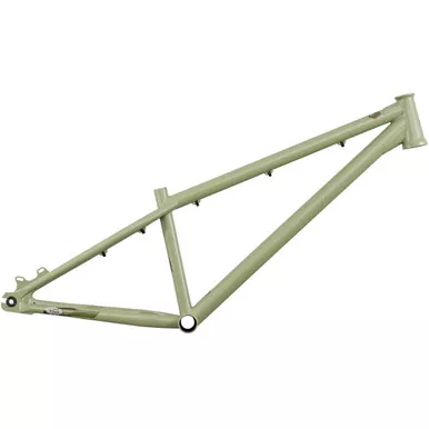 DMR Sect 24 Custom Frame Pistachio