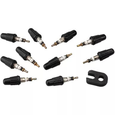 Vittoria Presta Valve Core - 10 Pack Incl Tool